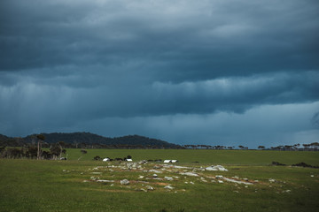 Obraz premium Tasmanian nature before storm
