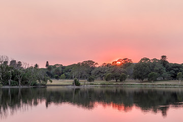 Fototapeta premium Bush fire smoke sunrise and park pond
