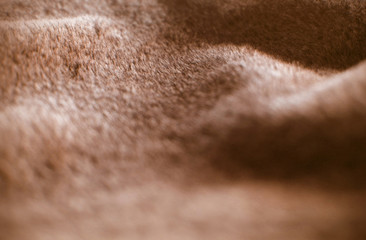 Fototapeta premium beautiful fur texture background in red color, soft textile with tightly animal fur orange color background, close up sample of smooth fur background in hot color, dynamic of animal fur texture