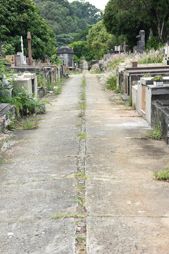 Araçá Cemetery - City of São Paulo - Brazil