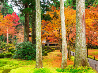秋の京都　三千院