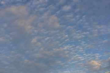 Fototapeta premium Cotton Clouds High In The Blue Sky