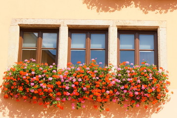 Fototapeta na wymiar 窓と花