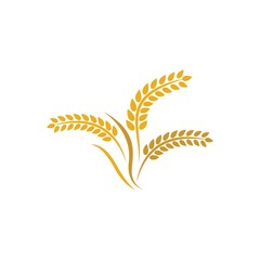 Wheat logo vector icon