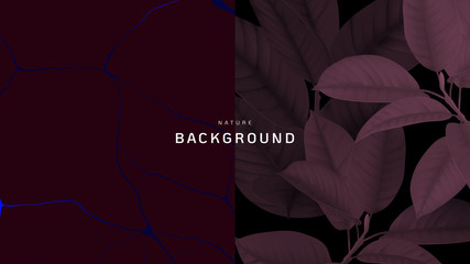 Nature background, Ficus Elastica or rubber plant and marble ink texture in dark red tone
