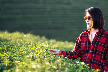 Happiness Asian beauty woman in shirt with hand touching a leaves on beautiful scenic view at green tea farm background.Relaxing freedom in nature.Holiday Vacation Travel.