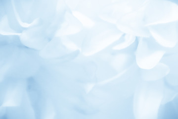 Beautiful abstract color blue and white flowers background and blue flower frame and pink and blue leaves texture background 