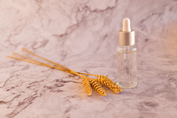 Massage oil in bottle on marble background. Concept spa, skin care, ecological and organic natural cosmetics.Bottles of essential oil on marble table.Herbal and mineral skincare. oil with wheat