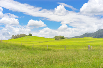 Australian Country Landscape