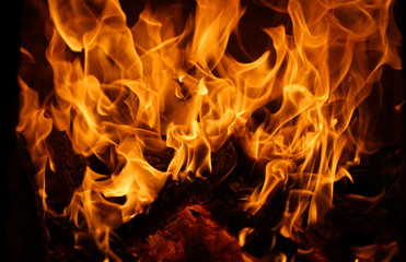 burning fire flame on the black background