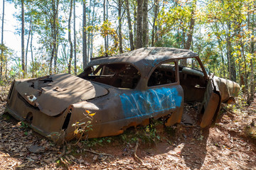 old car in the forest