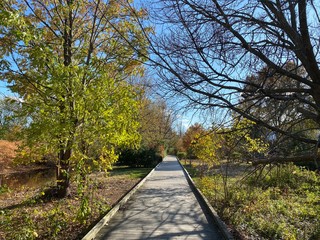 path in the park