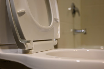 closeup view of toilet seat in the upright position