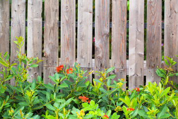 wood fence texture pattern background with green grass.