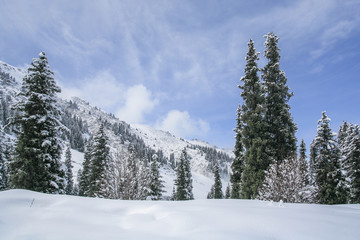 Allphotokz Tuyuk-Su 20060410 9123 5D