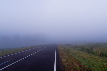 road trees fog smoke
