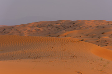 Desert at sunrise brings out bold burnt orange colored sand making a great desert landscape on rippling or rolling hills in Ras al Khaimah, in the United Arab Emirates.