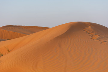 Fototapeta na wymiar Desert at sunrise brings out bold burnt orange colored sand making a great desert landscape on rippling or rolling hills in Ras al Khaimah, in the United Arab Emirates.