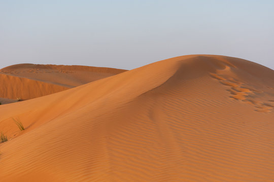 Desert at sunrise brings out bold burnt orange colored sand making a great desert landscape on rippling or rolling hills in Ras al Khaimah, in the United Arab Emirates. © KingmaPhotos