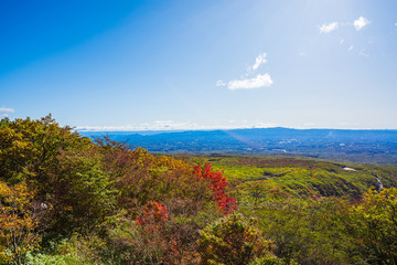 那須の紅葉　Leaves change color in the autumn.