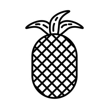 pineapple fresh fruit nature icon