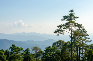 Obraz premium Landscape horizon and mountains view with tree forest