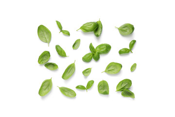 Fresh green basil leaves on white background, top view