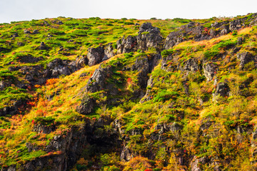 那須の紅葉　Leaves change color in the autumn.
