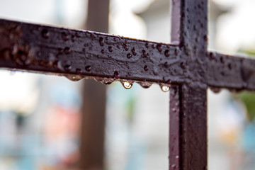 Rain or water drop on the iron fence of window or door.