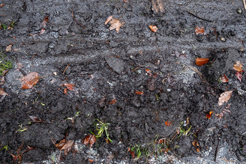 The texture of the mud on wet soil.