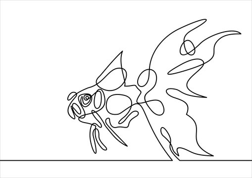 Gold fish- continuous line drawing