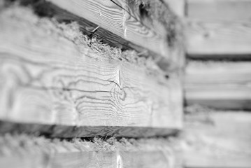 A wooden wall of logs and dry moss closeup. Abstract background black and white