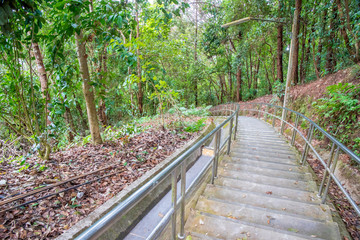 Fototapeta premium Long or high stair up to the mountain hill forest.