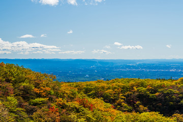 那須の紅葉　Leaves change color in the autumn.