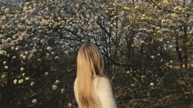Attractive young woman in sweater, jeans is dance and spinning among blossom apple tree. Sunset, spring orchard and green field. Slow motion. Caucasian one girl, long fluttering hair. Sun glasses.