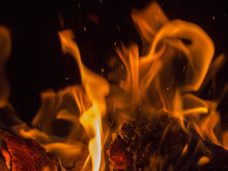 Fototapeta premium Primal bewitching magic of fire. Dance of orange flames on charred logs. Bonfire burning with crackling.