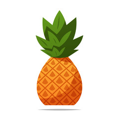 Pineapple fruit vector isolated illustration