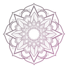 flower color mandala decorative ornament