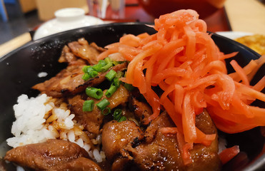 Buta don, Pork rice bowl