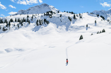 Fototapeta na wymiar Naturgenuß beim Schneeschuhwandern in den Alpen