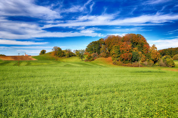 Meadow green with tree group autumnal and blue cloudy sky