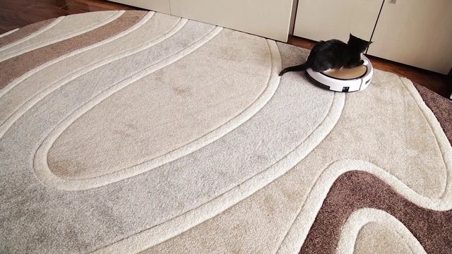 A black cat plays with a robotic vacuum cleaner that cleans the floor.pet playing with robot vacuum cleaner