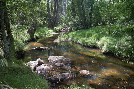 Outback stream in Southern New South Wales, Australia.