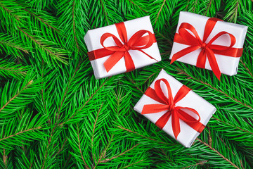 Top view of three wrapped white gift boxes tied with a red satin ribbon with a bow on fluffy green spruce branches with copy space. Christmas, New Year greeting, invitation card or banner concept.