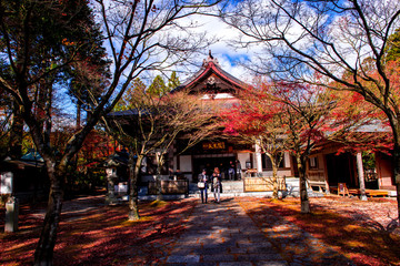 Obraz premium 呑山観音寺の紅葉