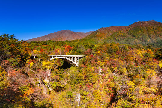 紅葉の宮城鳴子峡大深沢橋