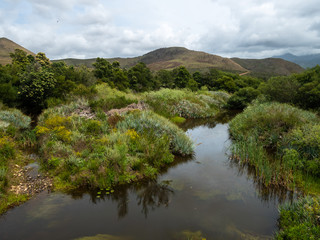 Fototapeta na wymiar View of the tree lined Riviersonderend River flowing under a brooding, cloudy sky. Near Greyton. Western Cape. South Africa.