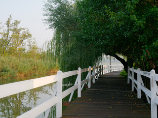 Park recreation area by the lake. Wolsztyn, Poland