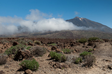 Pico del Teide, wulkan, Teneryfa, Hiszpania. - obrazy, fototapety, plakaty