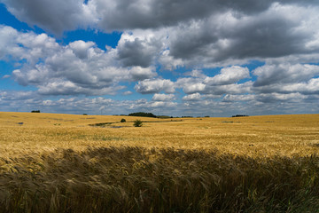 Fototapeta premium Müritz
